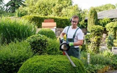 Trouver un jardinier compétent à proximité